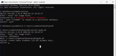 SQLite - Screenshot 1