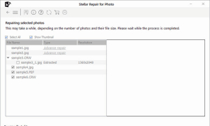 Stellar Photo Recovery - Screenshot 2