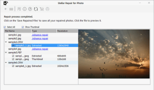 Stellar Photo Recovery - Screenshot 3