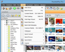 ThumbsPlus screenshot 1