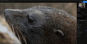Topaz Gigapixel AI - Screenshot 2