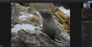 Topaz Gigapixel AI - Screenshot 1