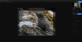 Topaz Gigapixel AI - Screenshot 4