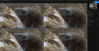 Topaz Gigapixel AI - Screenshot 3