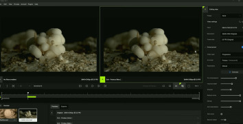 Topaz Video Enhance AI - Screenshot 1