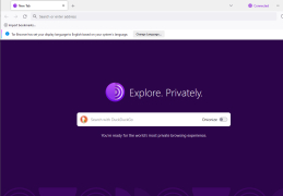 Tor Browser Bundle - explorer