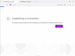 Tor Browser - establishing-a-connection