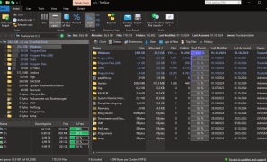 TreeSize Professional - Screenshot 1