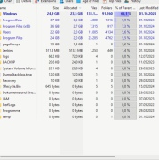 TreeSize Professional - Screenshot 2