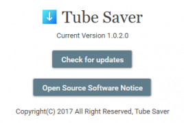 TubeSaver screenshot 2
