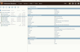 UFS Explorer Professional Recovery - Screenshot 2