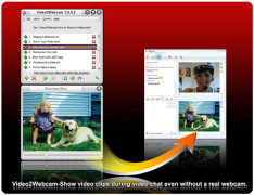 Video2Webcam screenshot 1