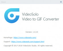 VideoSolo Free Video to GIF Converter screenshot 2