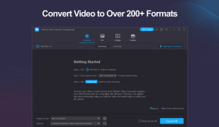 Vidmore Video Converter - Screenshot 2