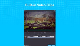Vidmore Video Enhancer - Screenshot 5