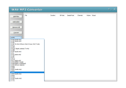 WAV MP3 Converter - format