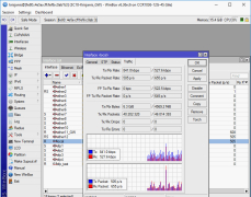WinBox - Screenshot 5