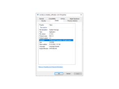 Windows Installer - details