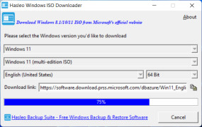 Windows ISO Downloader screenshot 1