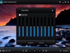 WindowsPlayer - Screenshot 5