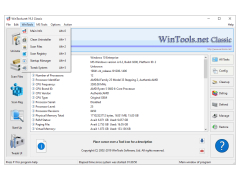 WinTools net Professional - windows-tools