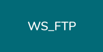 WS_FTP Server logo